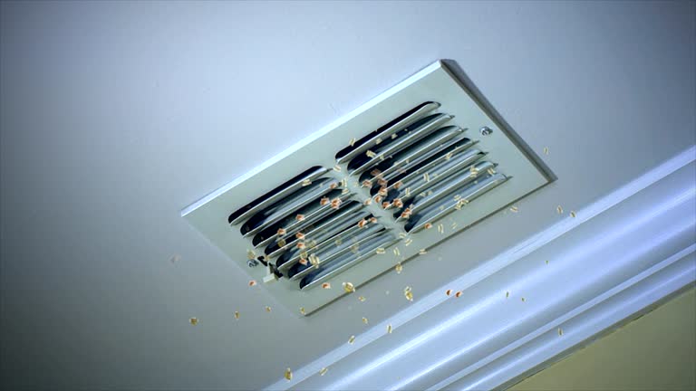 Best Dryer Vent Cleaning Services  in , NY